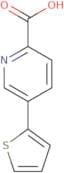 5-(Thiophen-2-yl)pyridine-2-carboxylic acid