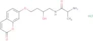 7-((4'-L-Alaninamido)-rac-3'-hydroxybutyloxy) coumarin hydrochloride