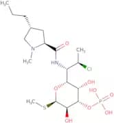 Clindamycin 3-phosphate
