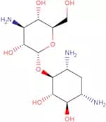 Tobramycin A