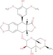 Cis-etoposide