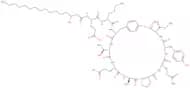 Fengycin