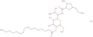 Lincomycin 2-palmitate hydrochloride