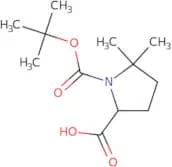 1-[(tert-butoxy)carbonyl]-5,5-dimethylpyrrolidine-2-carboxylic acid