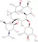 Oleandomycin