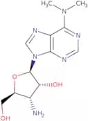 Puromycin aminonucleoside