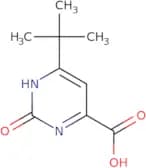 6-tert-Butyl-2-hydroxy-pyrimidine-4-carboxylic acid