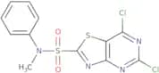 5,7-Dichloro-N-methyl-N-phenylthiazolo[4,5-d]pyrimidine-2-sulfonamide