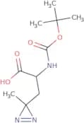 Boc-L-photo-leucine dCHA