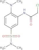 2-Chloro-N-{2-(dimethylamino)-5-[(dimethylamino)sulfonyl]phenyl}acetamide
