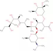 seco erythromycin