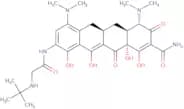 Tigecycline