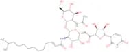Tunicamycin