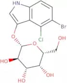 5-Bromo-4-chloro-3-indoxyl-beta-D-galactopyranoside