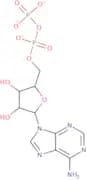 ADP monosodium salt - Bio-X ™