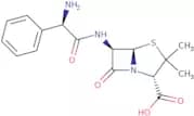 Ampicillin - Bio-X ™