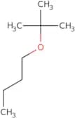1-(tert-Butoxy)butane