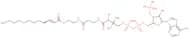 2-Trans-dodecenoyl-CO A