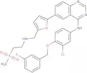 Lapatinib base - Bio-X ™