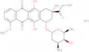 Doxorubicin hydrochloride - Bio-X ™