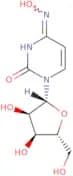 EIDD 1931 - Bio-X ™