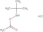 O-Acetyl-N-tert-butylhydroxylamine Hydrochloride