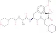 LU 005i