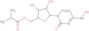 Molnupiravir - Bio-X ™