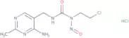 Nimustine HCl - Bio-X ™