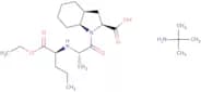 Perindopril t-butylamine salt - Bio-X ™