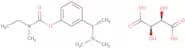 Rivastigmine tartrate - Bio-X ™