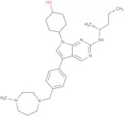 UNC 4203