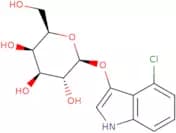 4-Chloro-3-indoxyl-β-D-galactopyranoside