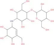Validamycin B