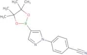 4-(4-(4,4,5,5-Tetramethyl-1,3,2-dioxaborolan-2-yl)-1H-pyrazol-1-yl)benzonitrile