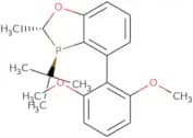 (2R,3R)-3-(t-Butyl)-4-(2,6-dimethoxyphenyl)-2-methyl-2,3-dihydrobenzo[d][1,3]oxaphosphole