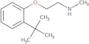 [2-(2-tert-Butylphenoxy)ethyl](methyl)amine
