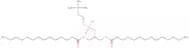 1,3-Dimyristoyl-glycero-2-phosphocholine