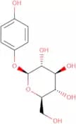 Arbutin - Synthetic origin