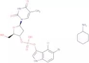 5-Bromo-4-chloro-3-indolyl-D-thymidine-3'-phosphate cyclohexylammonium salt