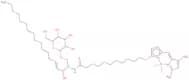 N-(4,4-Difluoro-5,7-dimethyl-4-bora-3a,4a-diaza-s-indacene-3-dodecanoyl)sphingosyl 1-b-D-galactopy…