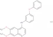 6,7-Dimethoxy-N-(3-phenoxyphenyl)quinolin-4-amine hydrochloride