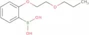 (2-(2-Propoxyethoxy)phenyl)boronic acid