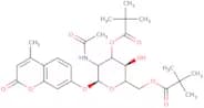 4-Methylumbelliferyl 2-acetamido-2-deoxy-3,6-di-O-pivaloyl-b-D-galactopyranoside