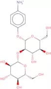 4-Nitrophenyl 2-O-(b-D-glucopyranosyl)-b-D-glucopyranoside