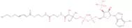 S-(2E)-2-Octenoate coenzyme A