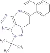 1-NM-PP1