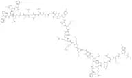 ACTH(1-39) trifluoroacetate
