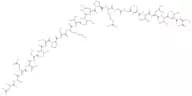 Asn-Ala-Intercellular Adhesion Molecule 1 (1-21) (human)