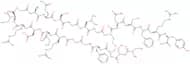 Atriopeptin III (rat)